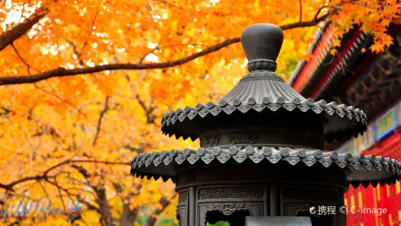 香山公園+天壇公園一日遊【2-8人純玩私家/賞秋/上門接送】