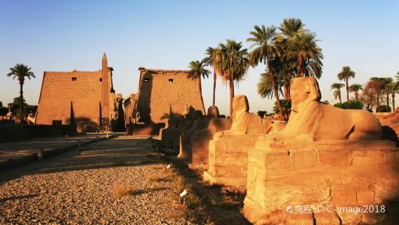 埃及盧克索+卡納克神廟+帝王谷+哈特謝普蘇特女王神廟一日遊