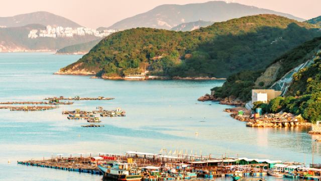 香港南丫島一日遊【綠色躍動之旅（中午出發）】