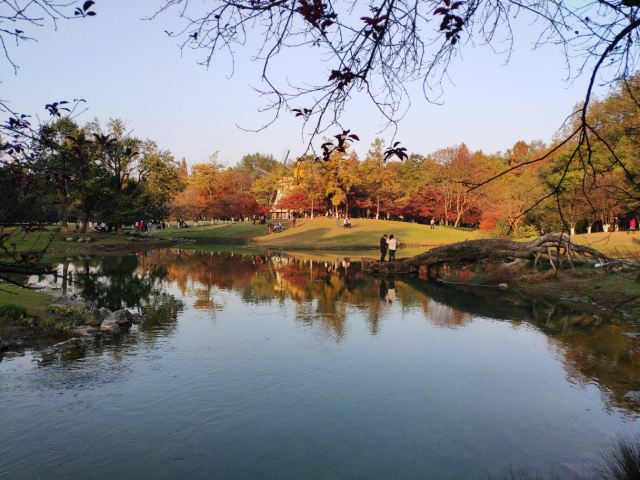 太子灣公園