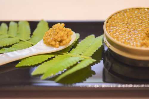 Zhiting·huaishi Cuisine (huaqiaocheng)