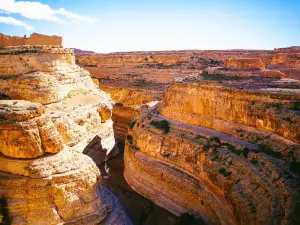 Tamerza Canyon