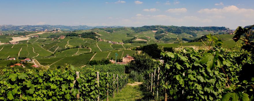 Barolo