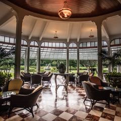 The Museum Coffee & Tea Corner User Photo