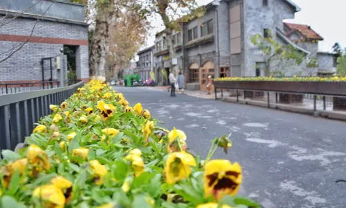 Yu Village Cultural Market