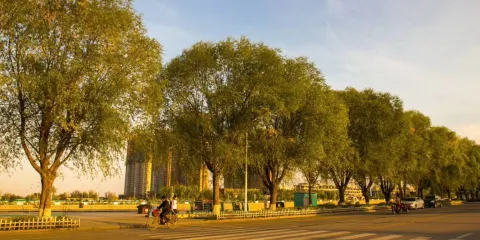 天馬湖休閒廣場