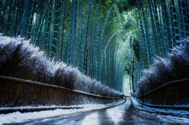 嵐山+小火車+三千院+貴船神社一日遊【中文司機 包車遊】
