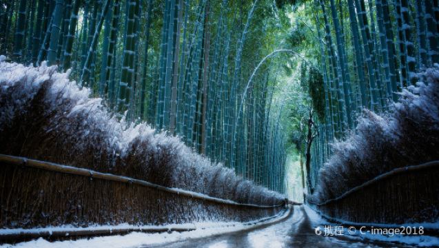 嵐山+小火車+三千院+貴船神社一日遊【中文司機 包車遊】
