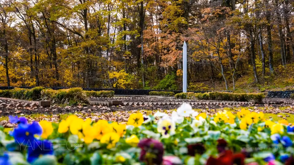 Sofia to Hanamaki Flights