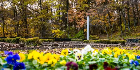 宮澤賢治童話村