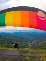 Paraglider