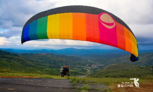 Paraglider