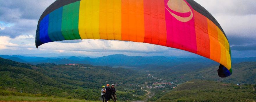 Paraglider