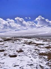 Alpine Pasture