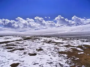 Alpine Pasture