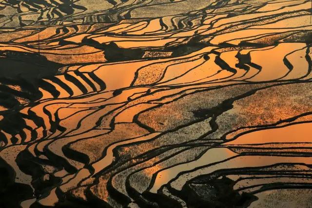 Sunsets in Yuanyang