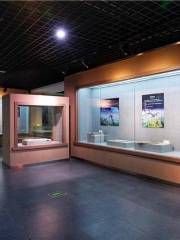 北票市石文化博物館