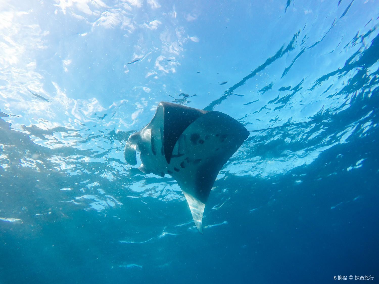 Nusa Lembongan Island Hopping Tour|Devil's Tears|Dream Beach|Snorkeling|Banana Boat 1-day tour