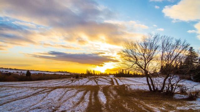 South Mountain Ecological Garden
