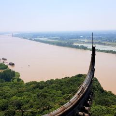 甑山生態園張用戶圖片