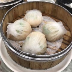 Phoenix House User Photo