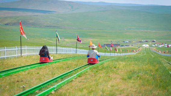 186 Ribbon River 1000-meter Grass Skiing
