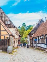 Den Gamle By, Museo all'aperto nazionale di Storia e Cultura Urbana