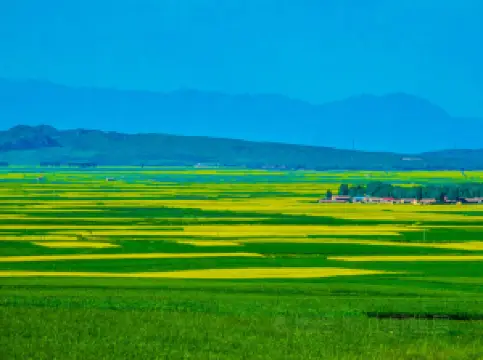 Qilian Mountain Scenic Spot