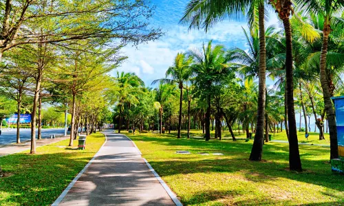 Coconut Dream Corridor