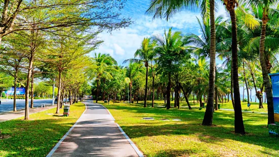 Coconut Dream Corridor