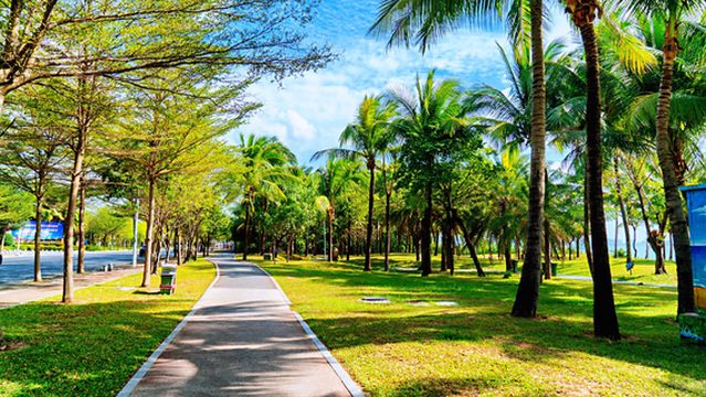 Coconut Dream Corridor