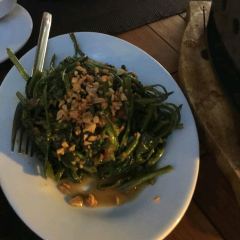 Tree Monkey ảnh của người dùng