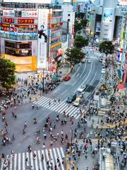 Shibuya City