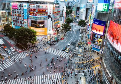 Shibuya City