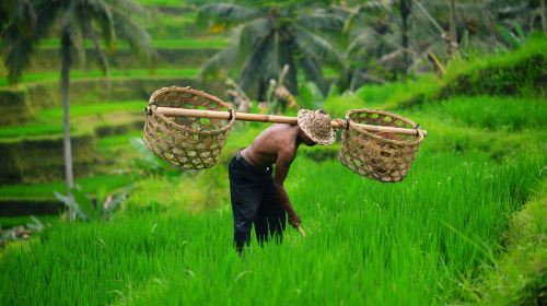 Ubud