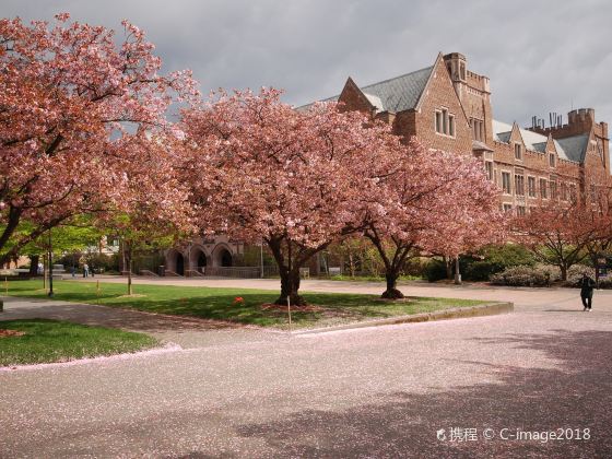 華盛頓大學