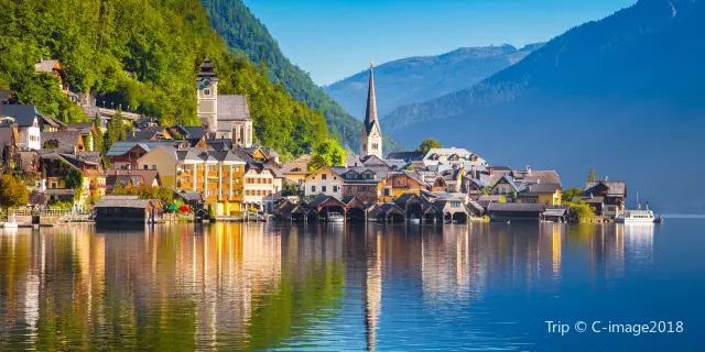Hallstatt WBSE-1000 美味し (AMB)