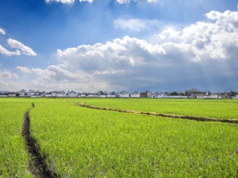 廣州飛大理機場