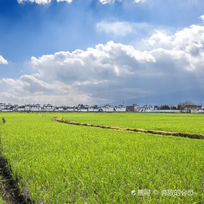 大理市 格安航空券