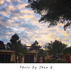 Pad Thai張用戶圖片