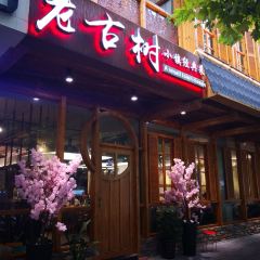 老古树餐厅(历史景点店) User Photo