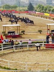 Cajero Horsemanship Club