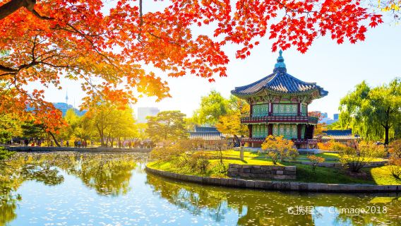首爾日遊
