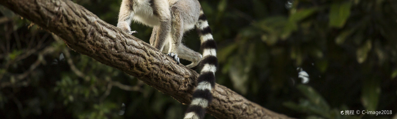 MadagascarWi-Fi & SIM cards