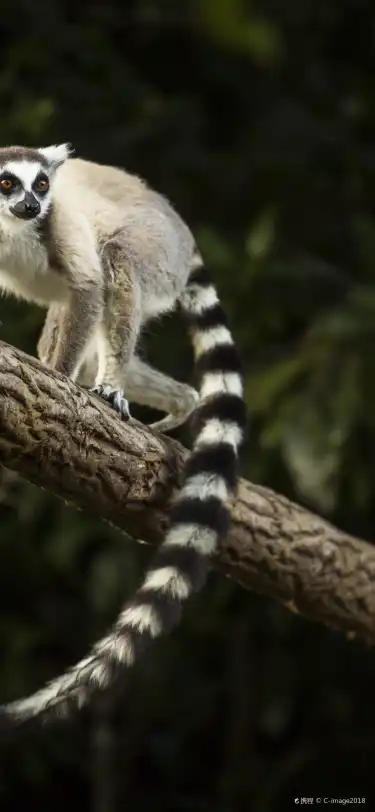 Hotels With Bar in Madagascar