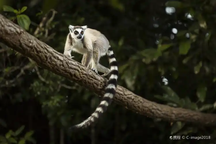 Hotels With Wi-Fi in Madagascar