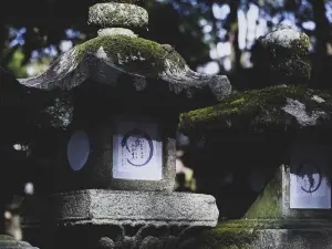 Popular Night Attractions in Nara Prefecture