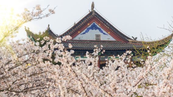湖北省博物館+黃鶴樓+武漢大學+漢口江灘一日遊【含遊船】