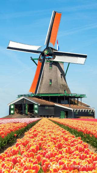 1-day tour from Amsterdam to Giethoorn and Windmill Village with Giethoorn cruise
