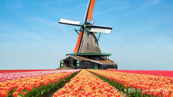 Giethoorn and Windmill Village one-day tour Tour from Amsterdam, Netherlands